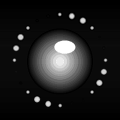 An animated GIF profile picture
